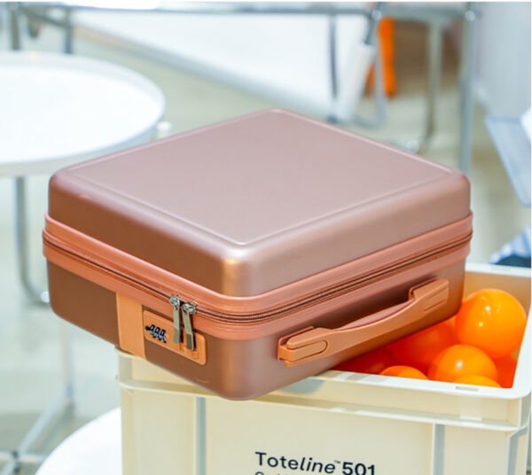 ABS 16INCH Hand Carry Cosmetic Box With lock - Image 5