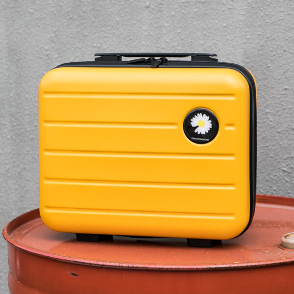 ABS 16Inch Cosmetic Storage Box